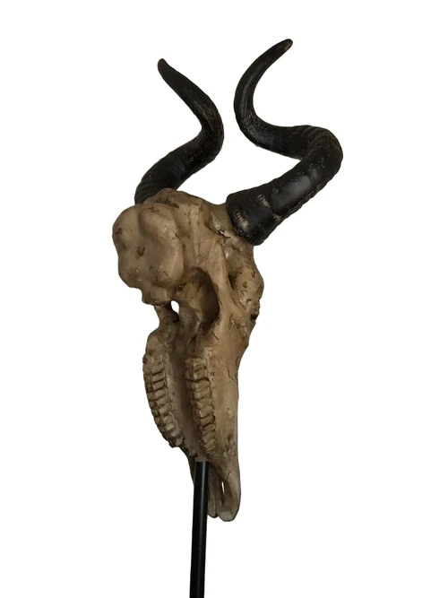 Beautiful carved skull on metal stand, beautiful design!