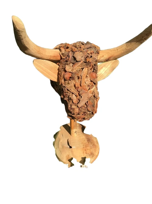 Bull's head made entirely of wood, a Monfort, very special work of art.
