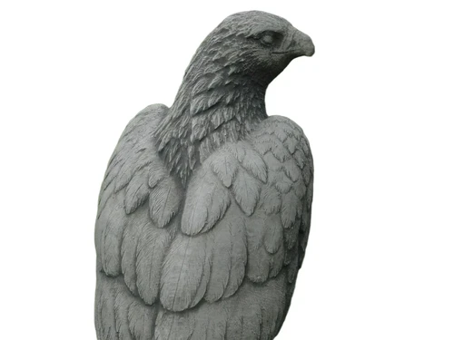 Stone goshawk - White with Grey - Animal sculpture