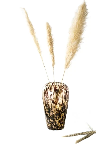 Vaas Claude - Panter - Glass - By-Boo