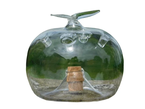 Apple as Fruit Fly Trap - Glass - Apple shape