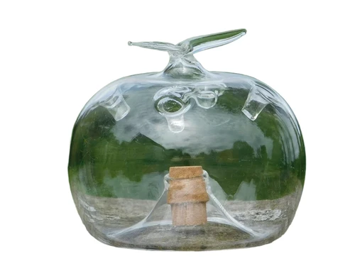 Apple as Fruit Fly Trap - Glass - Apple shape