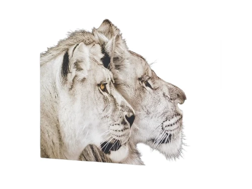 Gemälde Löwe und Löwin - 90 x 60 cm 