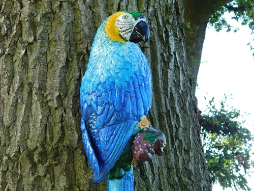 Blauwe Papegaai XL - Gietijzer - Kleurrijke Wanddecoratie