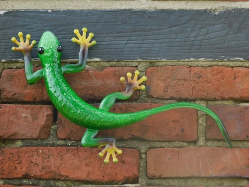 Gecko in colour - hand-painted - metal - wall deco