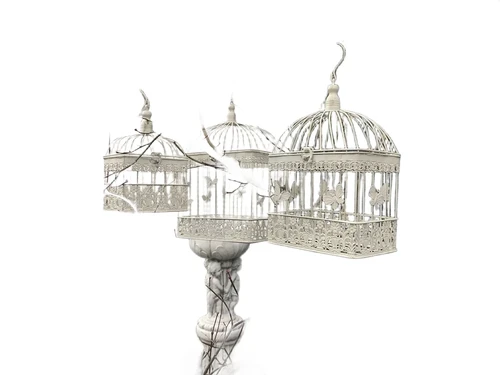 Set of 3 classic bird cages, iron, rustic-white