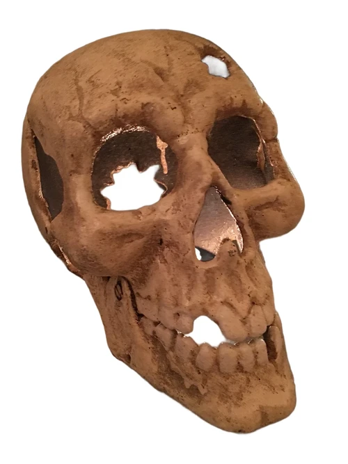 Large Anatomical Skull - Cast Iron - White-Rust