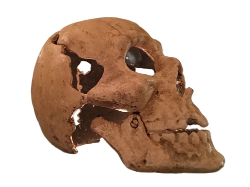 Large Anatomical Skull - Cast Iron - White-Rust