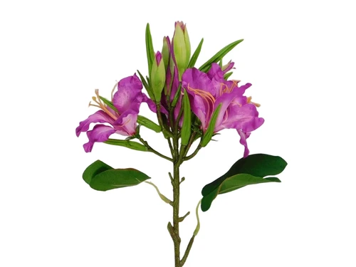 Kunstbloem Lelie Tak - Paars - 74 cm