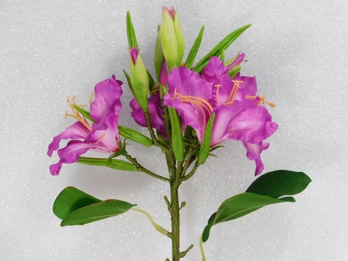 Kunstbloem Lelie Tak - Paars - 74 cm