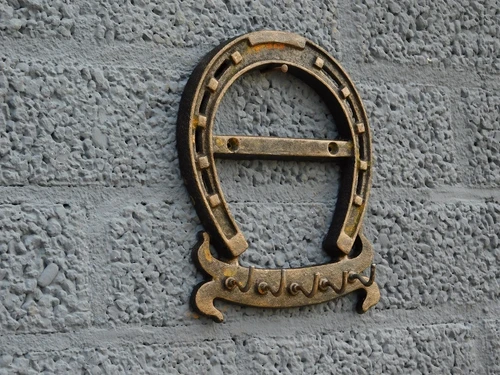 Key rack with 5 hooks - Horseshoe