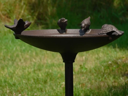 Vogelbad met 4 Vogeltjes - 60 cm - Gietijzer