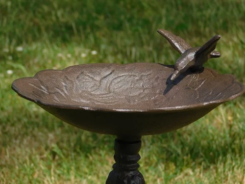 Fraai vogelbad op voet, met leuk decoratief vogeltje op de rand van het bad, gietijzer
