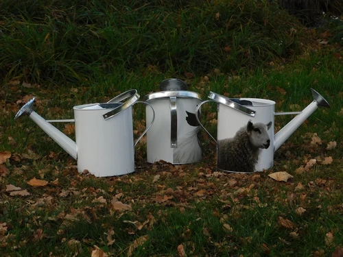 Watering can farm animals - various variations - zinc
