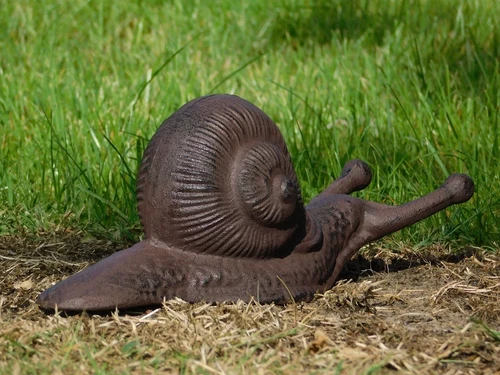 Cast iron Statue of a Snail | Multifunctional as a Bootlegger