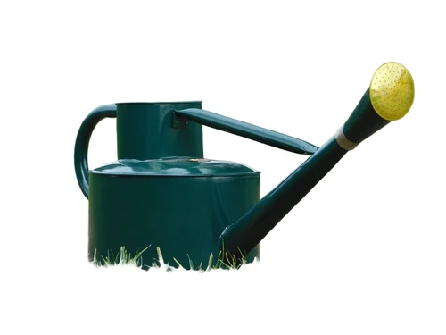 Classic watering can - dark green - 5L