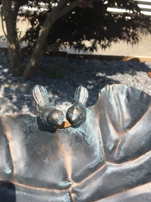 Metalen vogelbad, in de vorm van een blad, met 2 vogels zittend op de rand, prachtig afgewerkt!