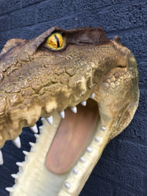 Lifelike crocodile head with open mouth, very nice design!