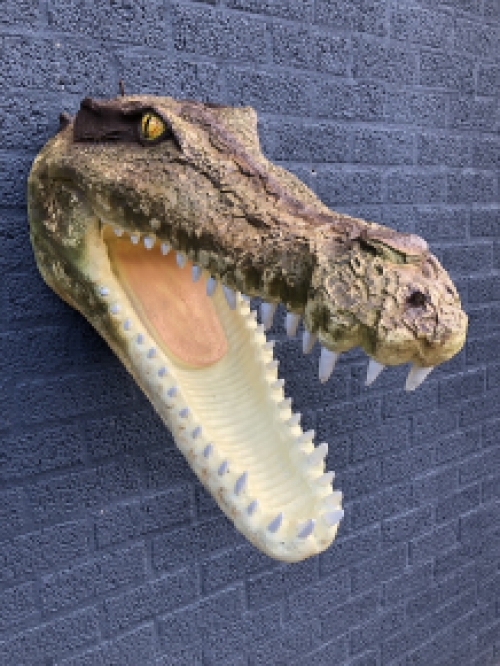 Lifelike crocodile head with open mouth, very nice design!