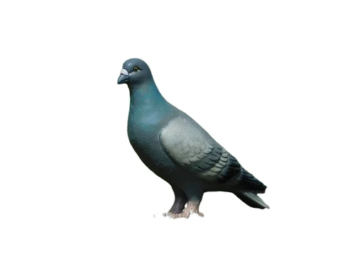 Leuk beeld, in kleur, van een duif, gemaakt van gietijzer