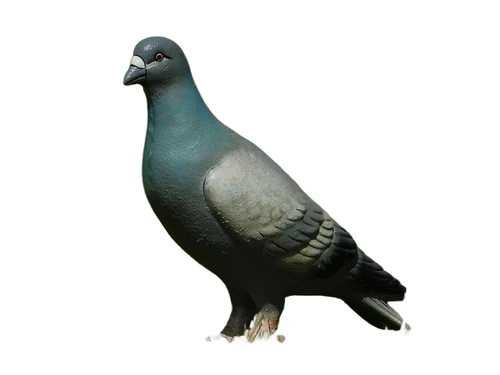 Leuk beeld, in kleur, van een duif, gemaakt van gietijzer