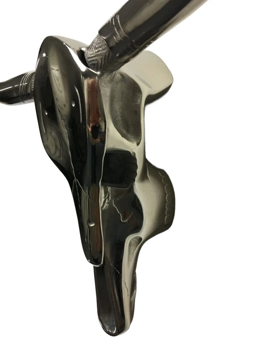 Schöner großer Aluminiumschädel mit Hörnern, unglaublich schön!