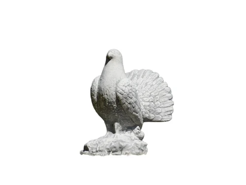 Statue of a peacock pigeon - solid stone