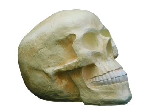 Schädel XL - Polystone - Schädel