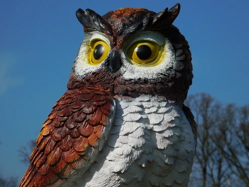 Brown Owl XL - 70 x 40 cm - Polystone