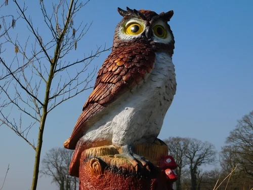 Brown Owl XL - 70 x 40 cm - Polystone