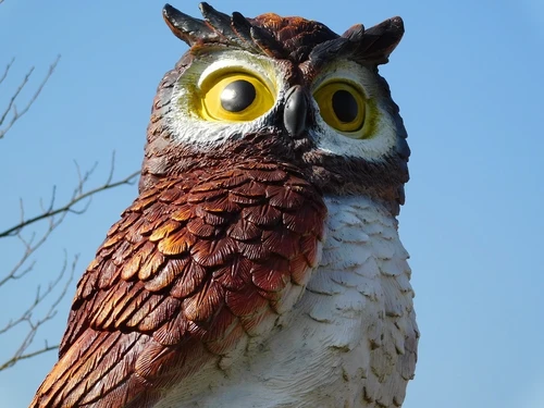 Brown Owl XL - 70 x 40 cm - Polystone