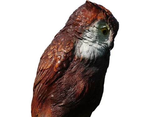 Owl on Stump – 68 cm – Detailed Sculpture – Polystone