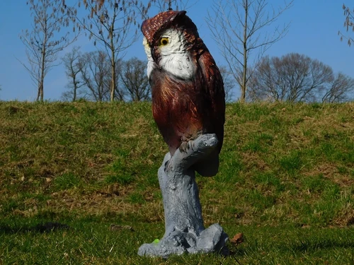 Owl on Stump – 68 cm – Detailed Sculpture – Polystone
