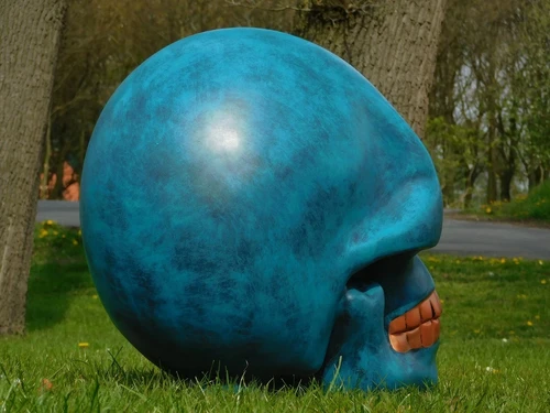 Skull XL - 60 x 65 cm - Blauw met Brons - Polystone