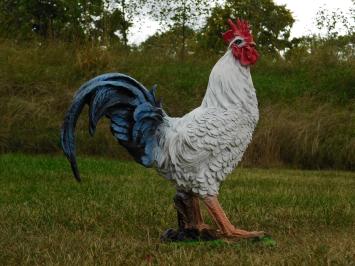 Rooster statue - 50 x 45 cm - Polystone
