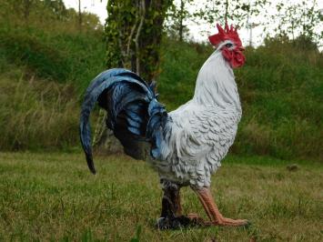 Rooster statue - 50 x 45 cm - Polystone