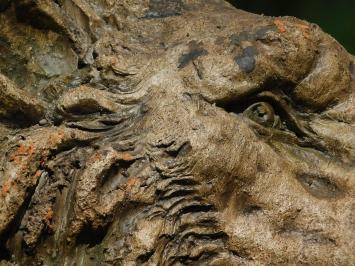 Lion Head Sculpture - 50 x 40 cm - Polystone