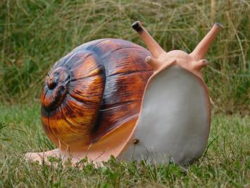 Snail statue - 40 cm - Polystone