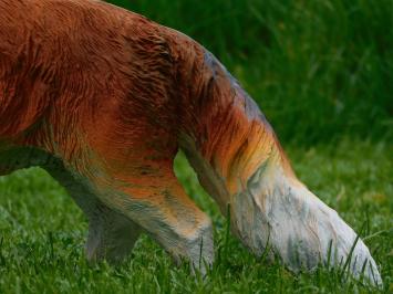 Beeld Vos - 50 cm - Polystone