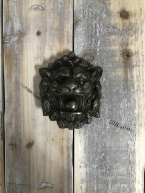 Türklingel Löwe - Messing antik - Löwenkopf