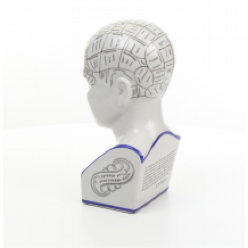 A porcelain phrenology head in blue coloring.