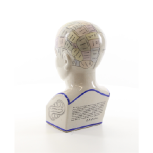 Een porseleinen phrenology hoofd in kleuren