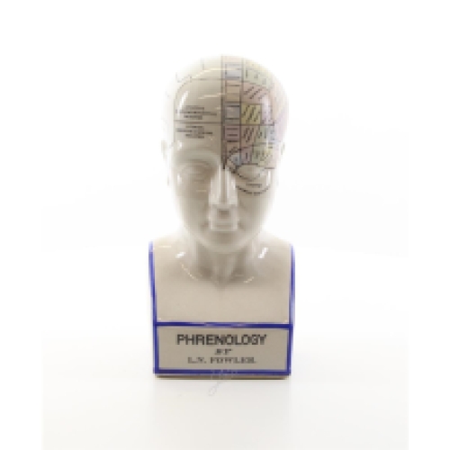 Een porseleinen phrenology hoofd in kleuren