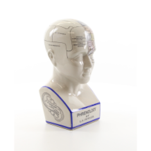 Een porseleinen phrenology hoofd in kleuren