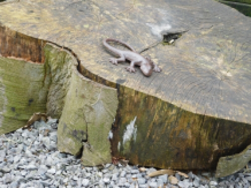 Mooie hagedis, gekko als decoratie, gietijzeren salamander