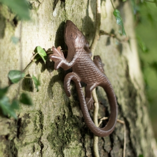 Mooie hagedis, gekko als decoratie, gietijzeren salamander