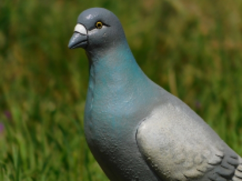 Leuk beeld, in kleur, van een duif, gemaakt van gietijzer