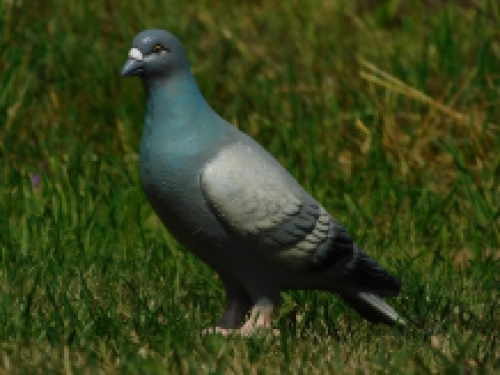 Leuk beeld, in kleur, van een duif, gemaakt van gietijzer