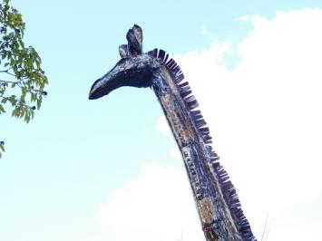 Giraffe Monza - 290 cm - Handmade and Unique