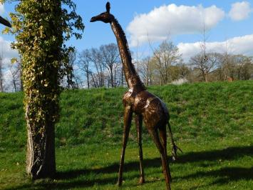 Giraffe Zola - 290 cm - Handmade and Unique